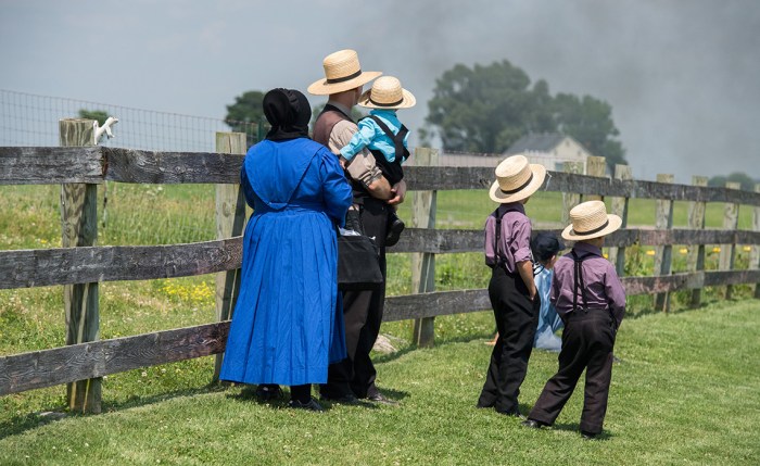 Do amish believe in polygamy