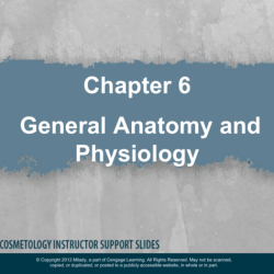 Milady chapter 2 anatomy and physiology