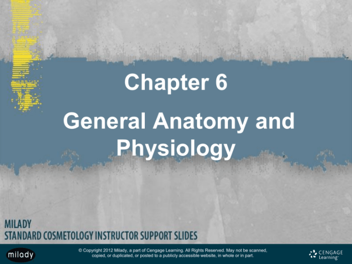 Milady chapter 2 anatomy and physiology