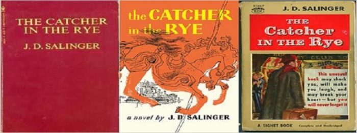 Figurative language catcher in the rye