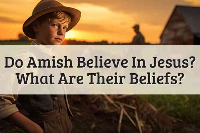 Polygamy mormon cry fundamentalists amish