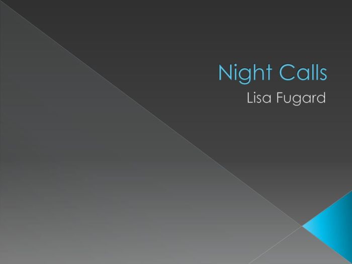 Night calls by lisa fugard