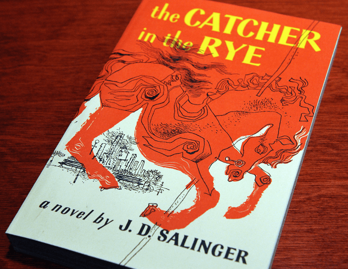 Figurative language catcher in the rye