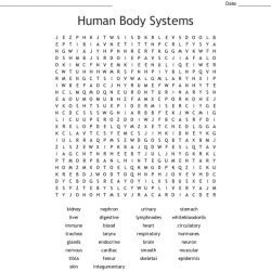 Human body systems crossword puzzle