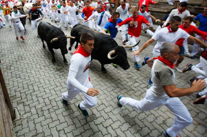 Bulls running