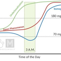 Sugar effect dawn somogyi phenomenon vs diabetes morning blood high why